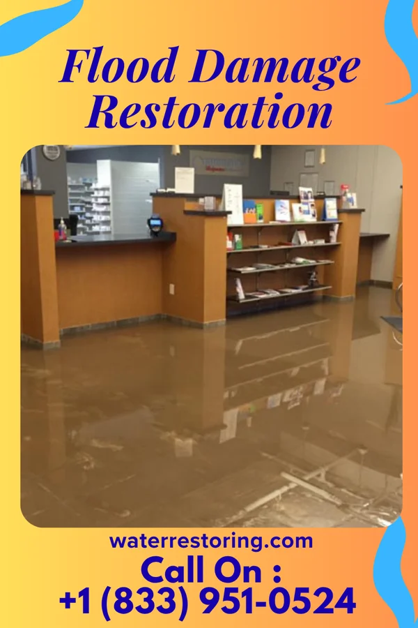 Flood Damage Restoration in Ford Heights, IL