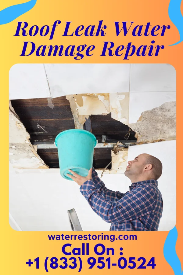 Roof Leak Water Damage Repair in Ford Heights, IL