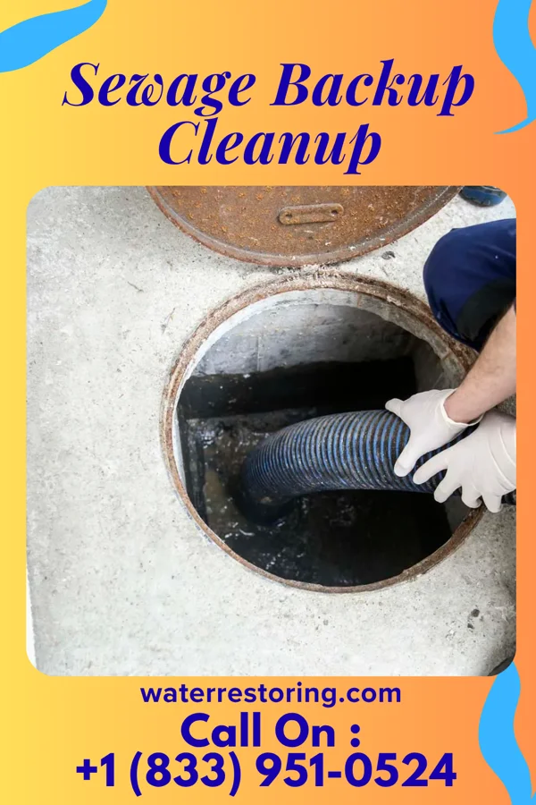 Sewage Backup Cleanup in Ford Heights, IL